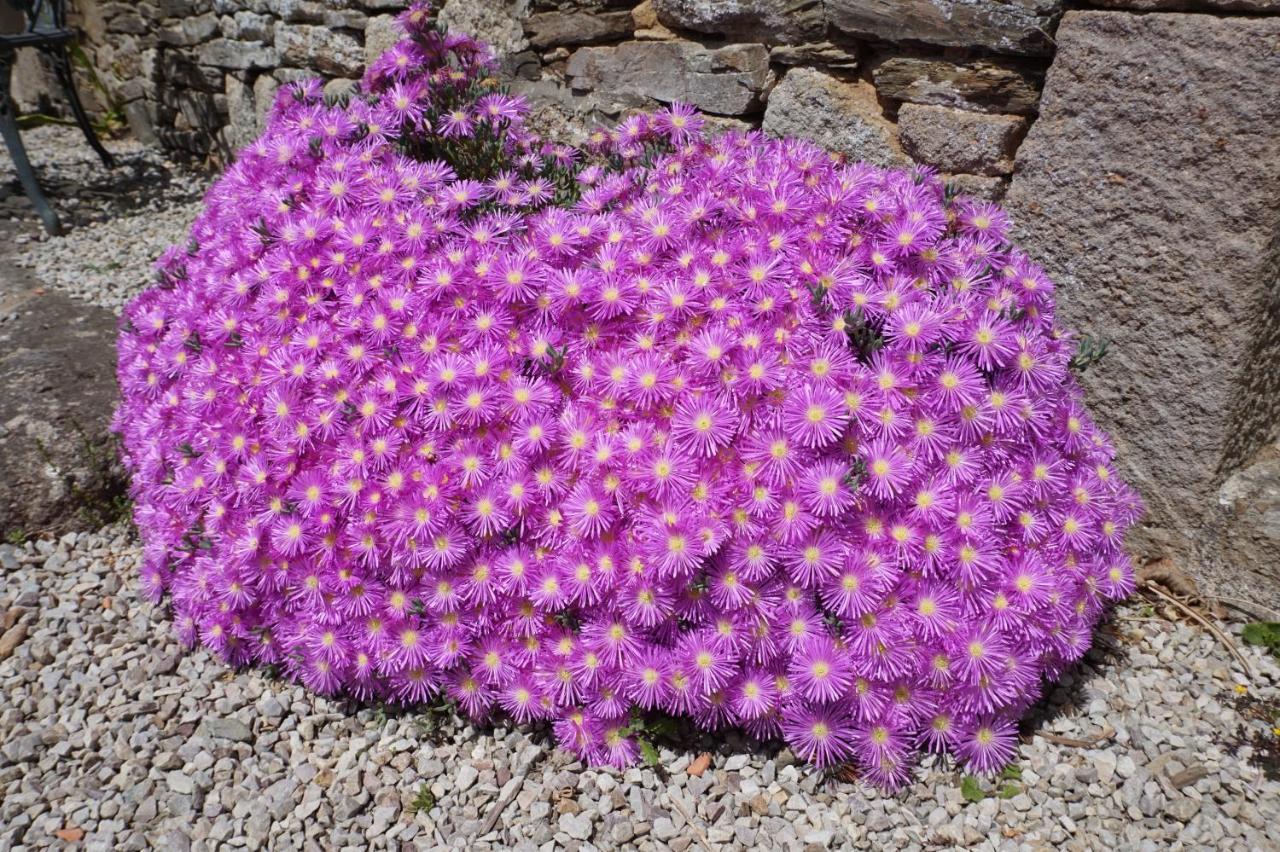 Au Fil De L'Eau Panzió Le Vast Kültér fotó